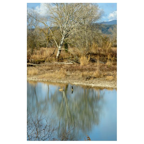 PHOTO84, CLUB, 84 , LUBERON